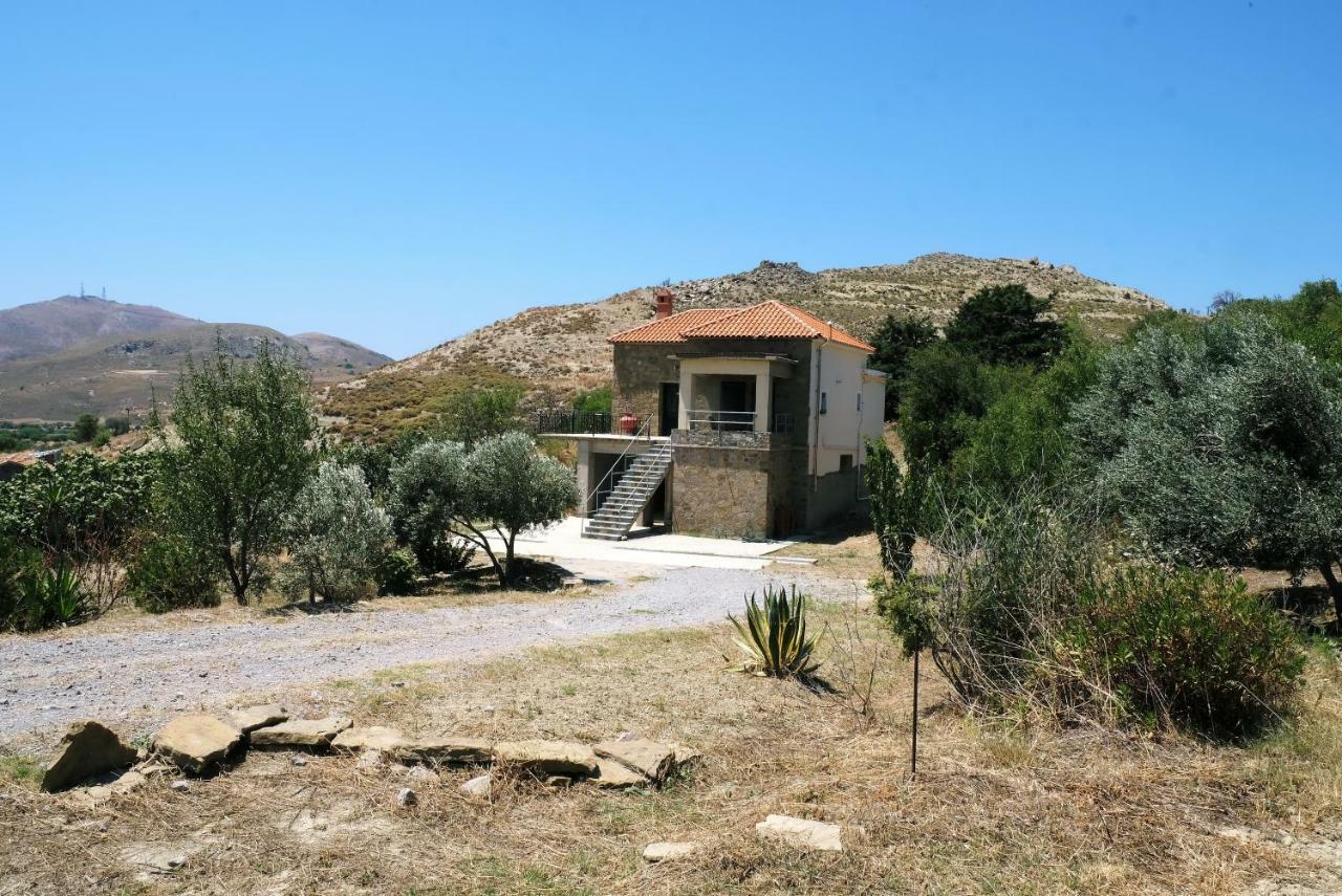 Stone House Of Panos Villa Kornos Eksteriør bilde