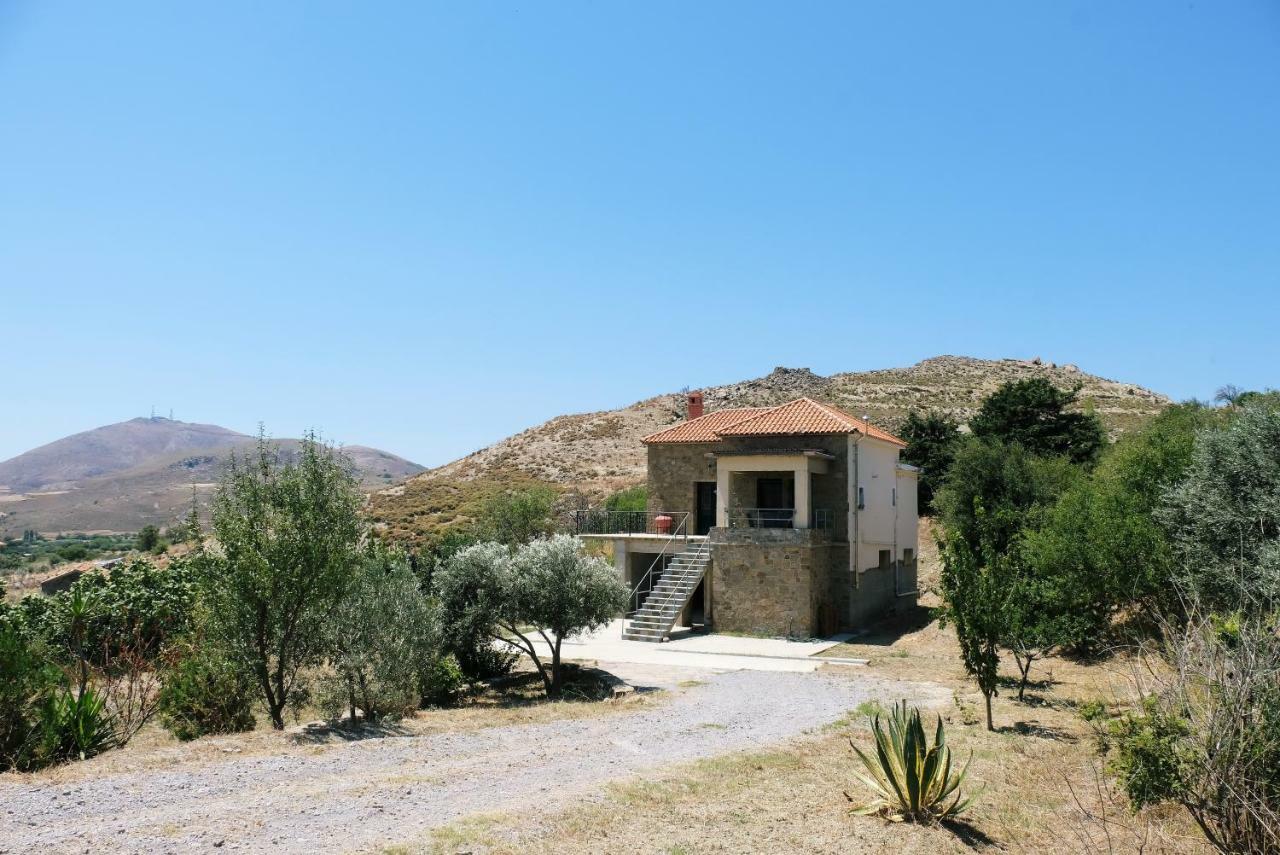 Stone House Of Panos Villa Kornos Eksteriør bilde